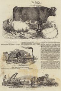 Mostra di Bovini del Club di Smithfield